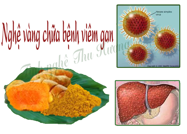 Bệnh gan, nghệ vàng, chiết xuất nghệ, ung thư, lipid, tinh bột nghệ, bột nghệ, tinh bot nghe, bot nghe, nghe vang