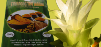 Nghệ vàng chống viêm mạnh mẽ, điểm qua một số kết quả nghiên cứu