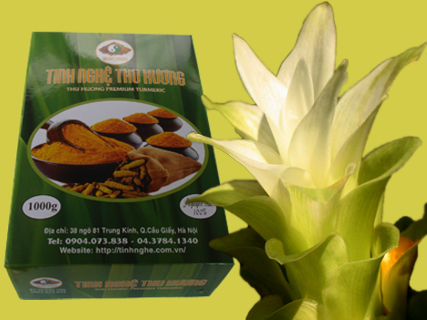 Nghệ vàng, chống viêm, viêm khớp, PGE2, chống viêm khớp, tinh bột nghệ, bột nghệ, nghe vang, tinh bot nghe, bot nghe