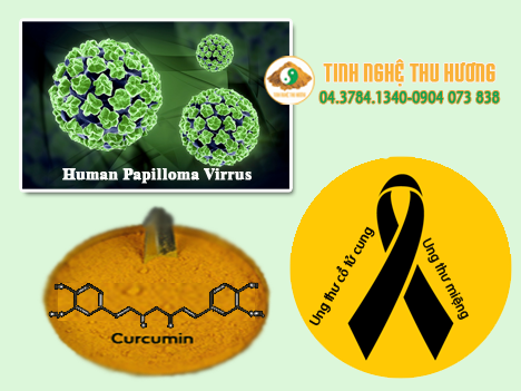 Curcumin, nghệ vàng, ung thư, HPV,  ung thư miệng, cổ tử cung, virus, tinh bột nghệ, nghe vang, bột nghệ, tinh bot nghe, bot nghe