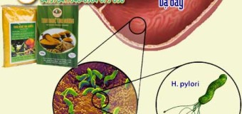 Vi khuẩn Helicobacter pylori cách nhận biết và phòng ngừa H. Pylori