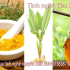 tác dụng của tinh bột nghệ, tinh bột nghệ, mật ong, dạ dày, viêm loét dạ dày, tinh bột nghệ mật ong, viêm loét dạ dày tá tràng