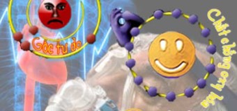 Tinh bột nghệ vàng phòng ngừa bệnh mạn tính do chứa chất chống oxy hóa mạnh mẽ