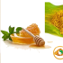 Bệnh đau dạ dày, Benh dau da day, nghệ vàng, đau dạ dày, niêm mạc dạ dày, tinh bột nghệ, bột nghệ,