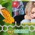 Trầm cảm, tinh bột nghệ, phụ nữ sau sinh, nghệ vàng, curcumin, prozac, bột nghệ, tram cam, tinh bot nghe, bot nghe, nghe vang